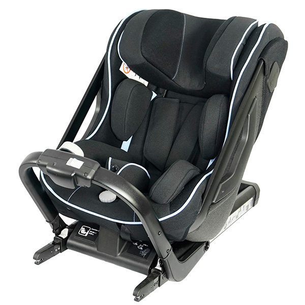 special needs car seat